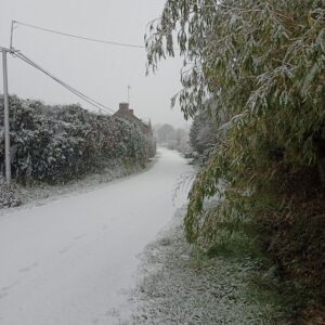 neige en Brocéliande
