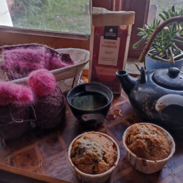 Au fil de février 2026