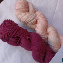 Kit cho 7 fleur de rosée