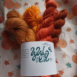 kit chaussettes automne en Bretagne